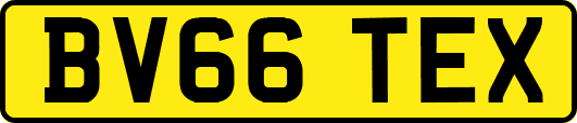 BV66TEX