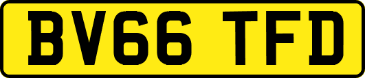 BV66TFD