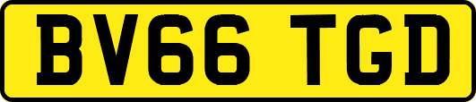 BV66TGD