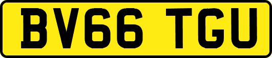 BV66TGU