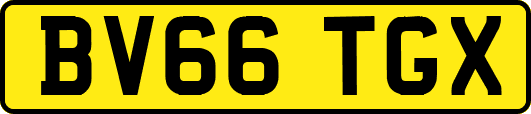 BV66TGX