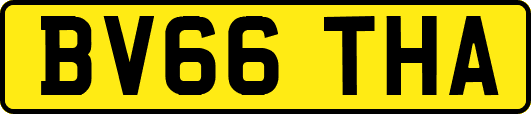 BV66THA