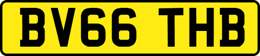 BV66THB