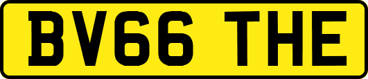 BV66THE