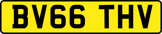 BV66THV