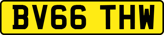 BV66THW