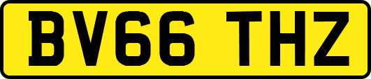 BV66THZ