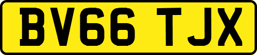 BV66TJX