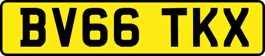 BV66TKX