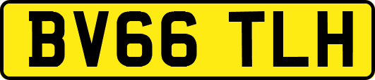 BV66TLH