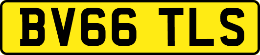 BV66TLS