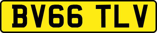 BV66TLV