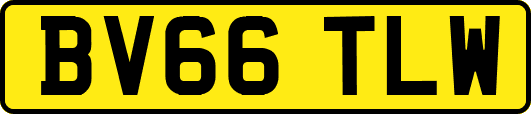 BV66TLW