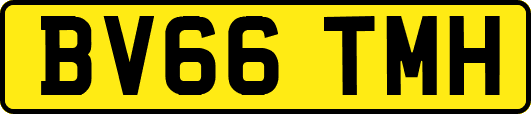 BV66TMH