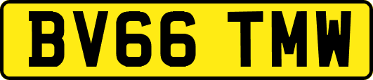 BV66TMW