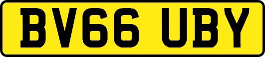 BV66UBY