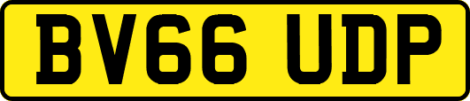 BV66UDP