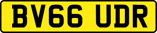 BV66UDR