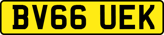 BV66UEK