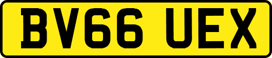 BV66UEX