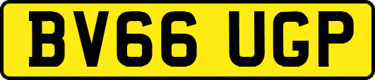 BV66UGP