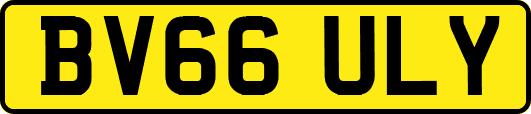 BV66ULY