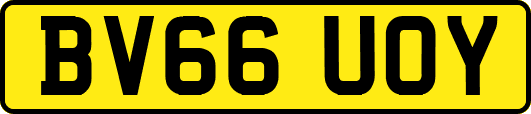 BV66UOY