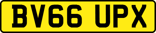 BV66UPX