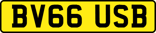 BV66USB