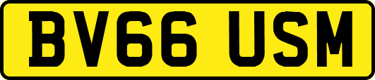 BV66USM