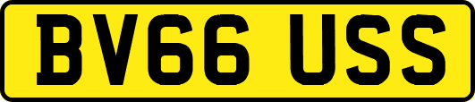 BV66USS