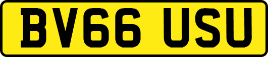 BV66USU