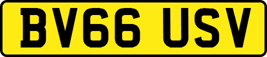 BV66USV