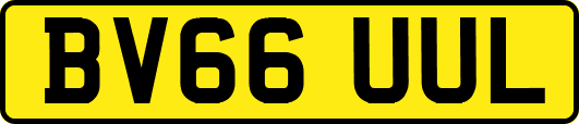 BV66UUL