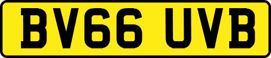 BV66UVB