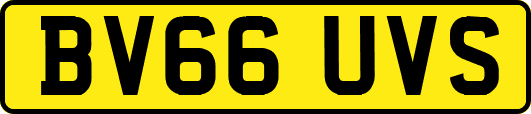 BV66UVS