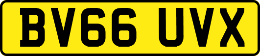 BV66UVX