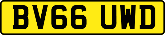 BV66UWD