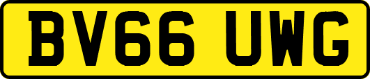 BV66UWG