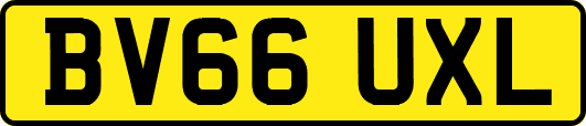 BV66UXL