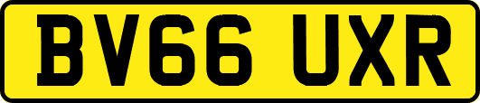 BV66UXR