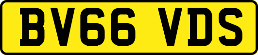 BV66VDS