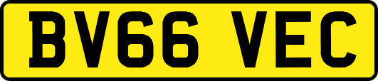 BV66VEC