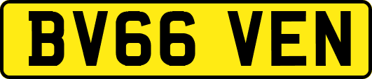 BV66VEN