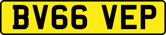 BV66VEP