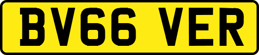 BV66VER