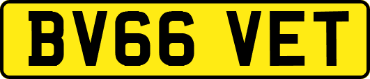 BV66VET
