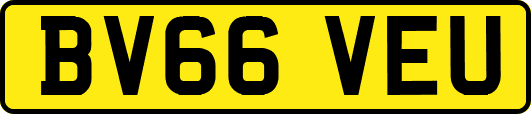 BV66VEU