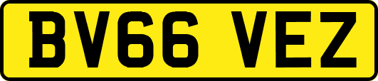 BV66VEZ