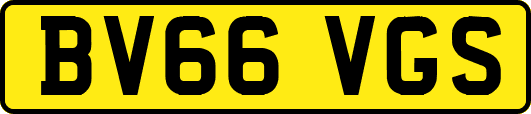 BV66VGS